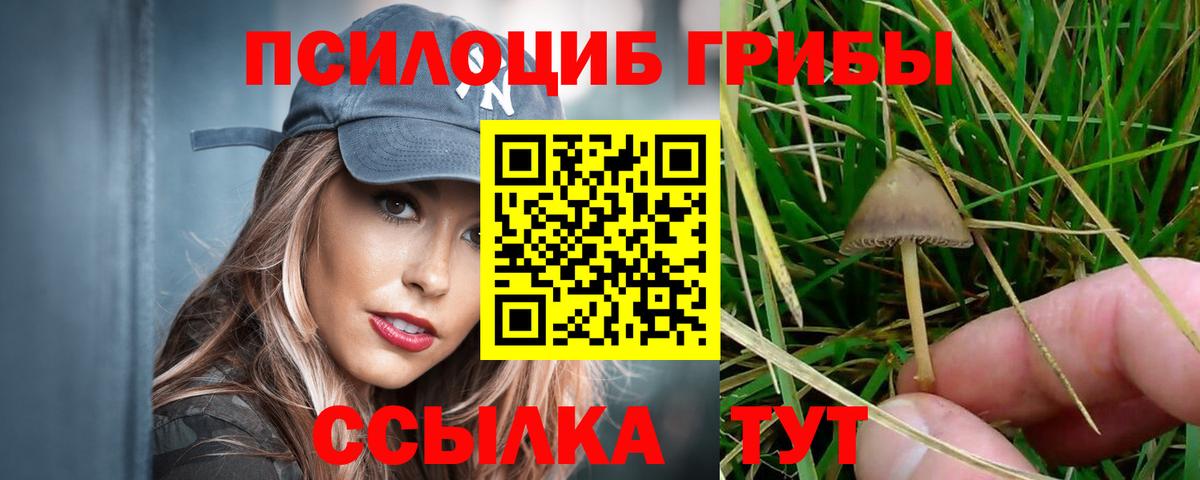 Псилоцибиновые грибы GOLDEN TEACHER Междуреченск